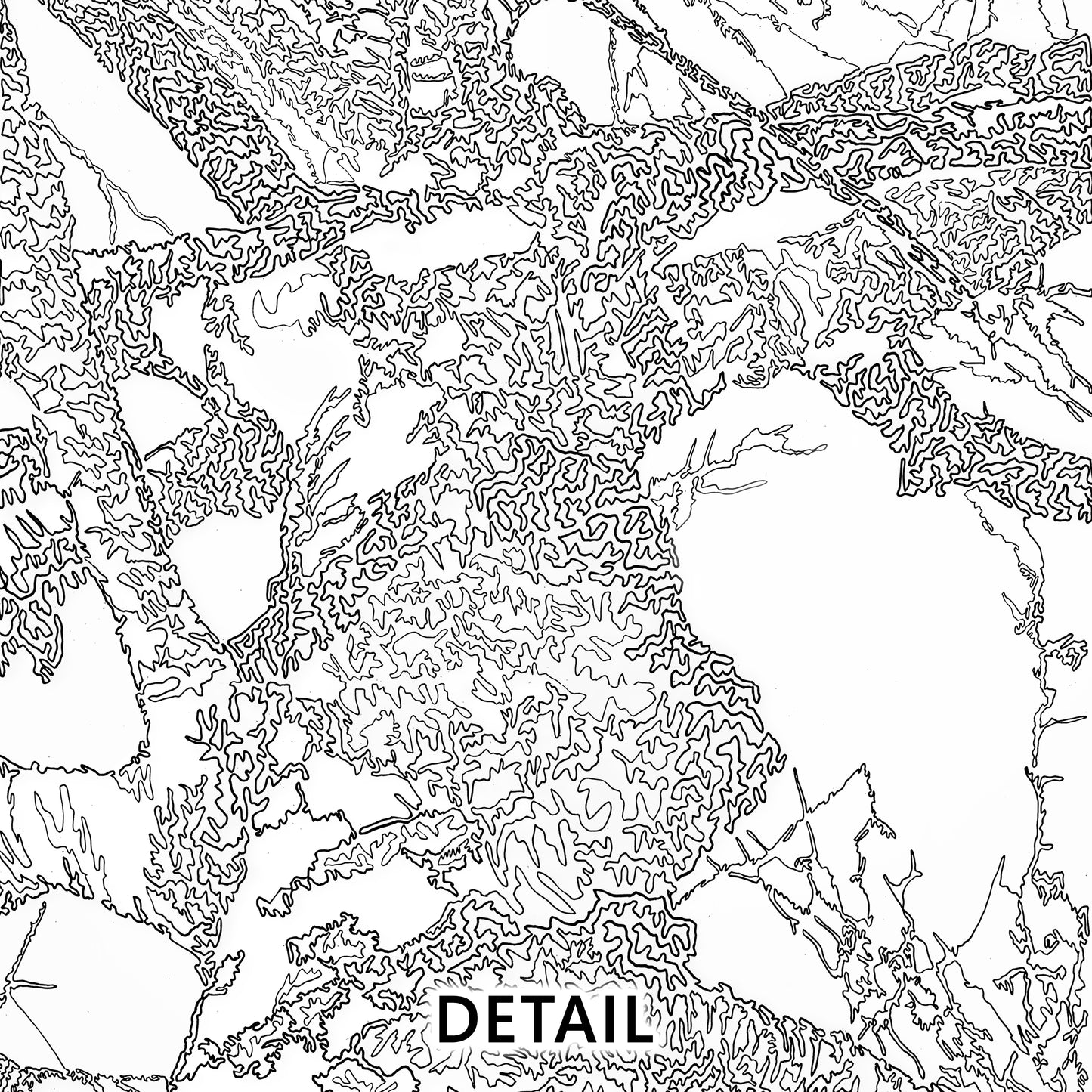 Forest For The Trees 1/5 - Art Print