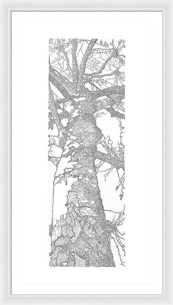 Forest for the Trees 1 - Framed Print