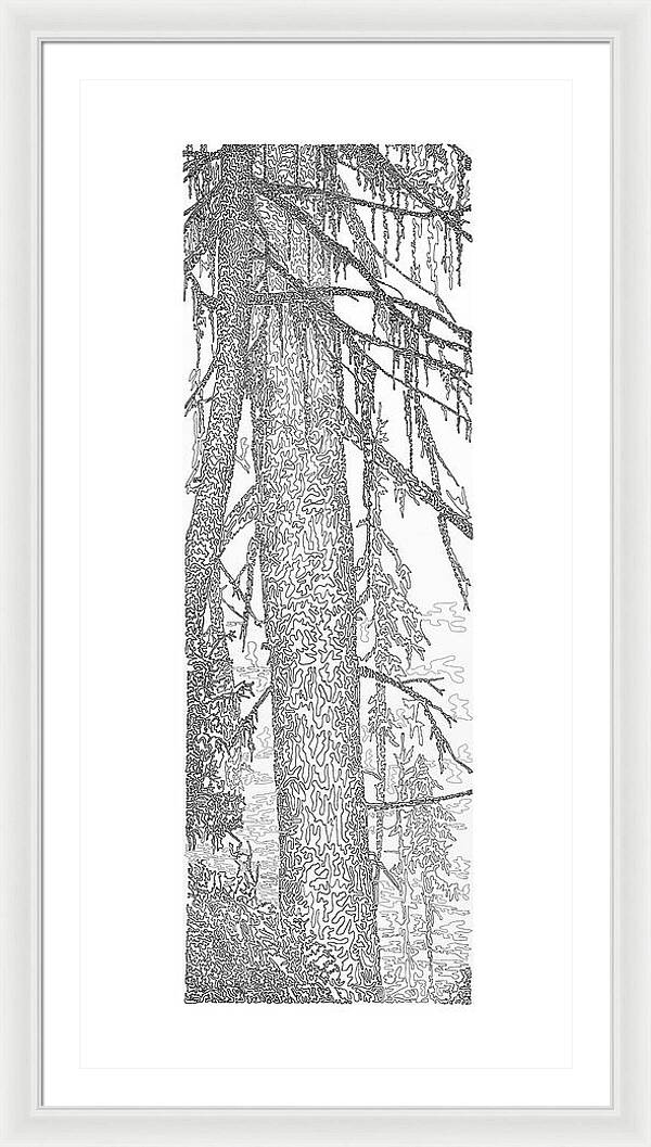 Forest for the Trees 2 - Framed Print