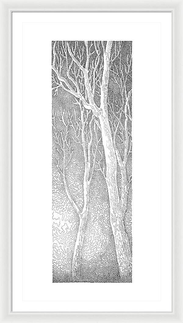 Forest for the Trees 3 - Framed Print