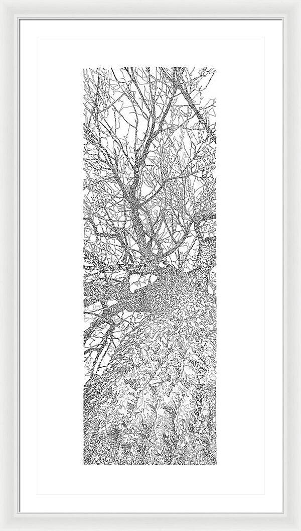 Forest for the Trees 4 - Framed Print