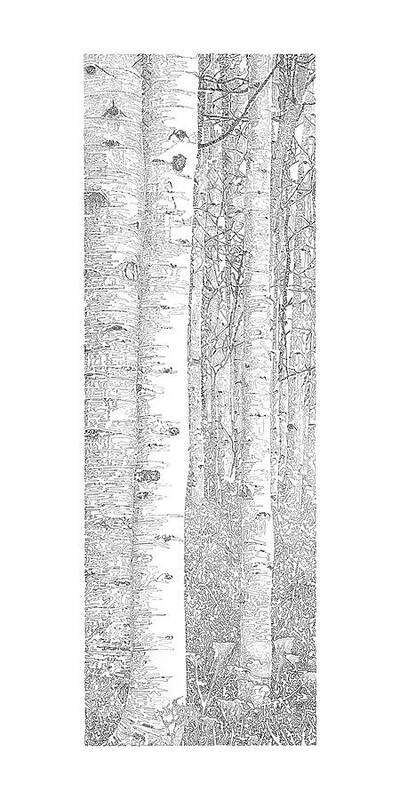Forest For The Trees 5/5 - Art Print
