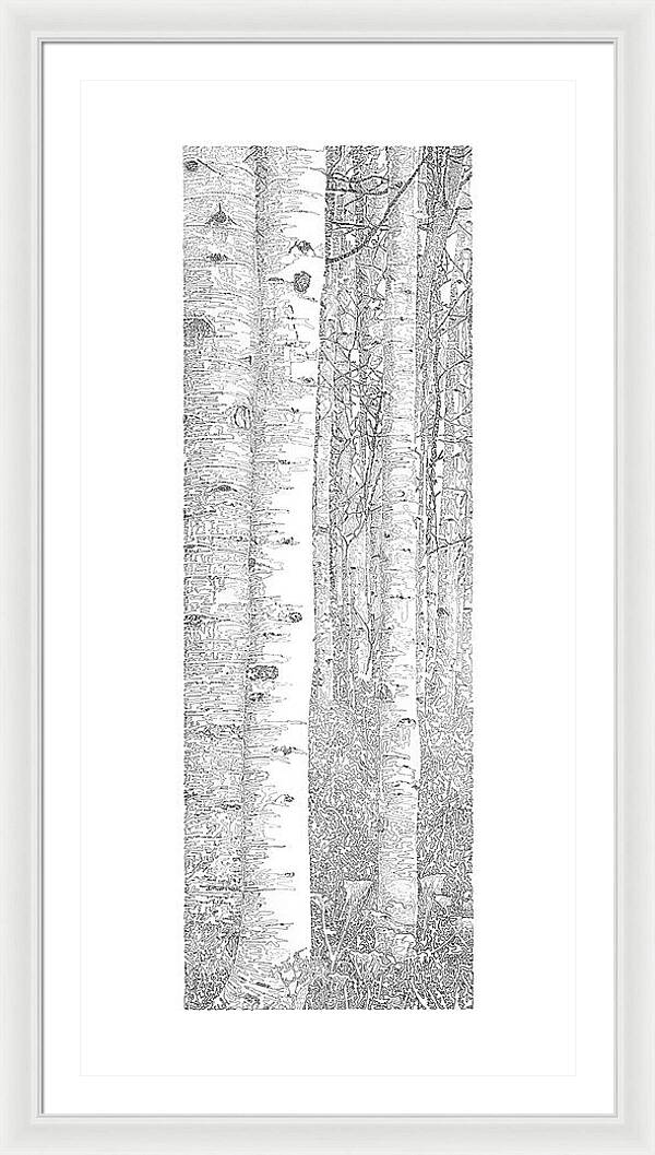 Forest for the Trees 5 - Framed Print