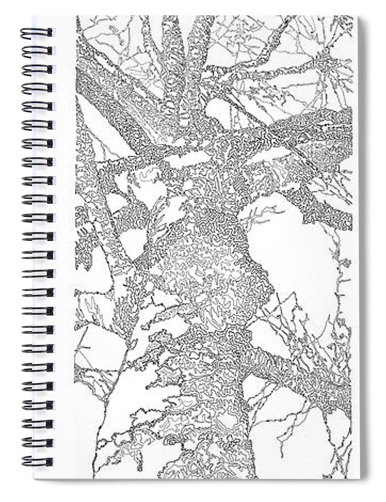 Forest for the Trees 1 - Spiral Notebook
