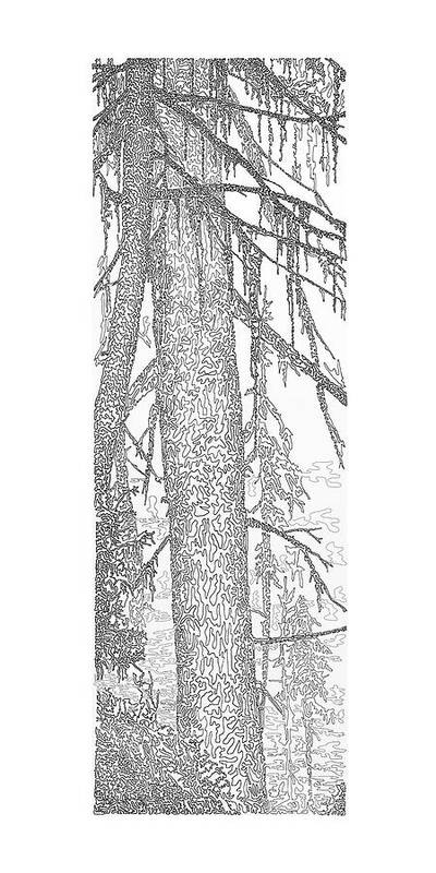 Forest For The Trees 2/5 - Art Print