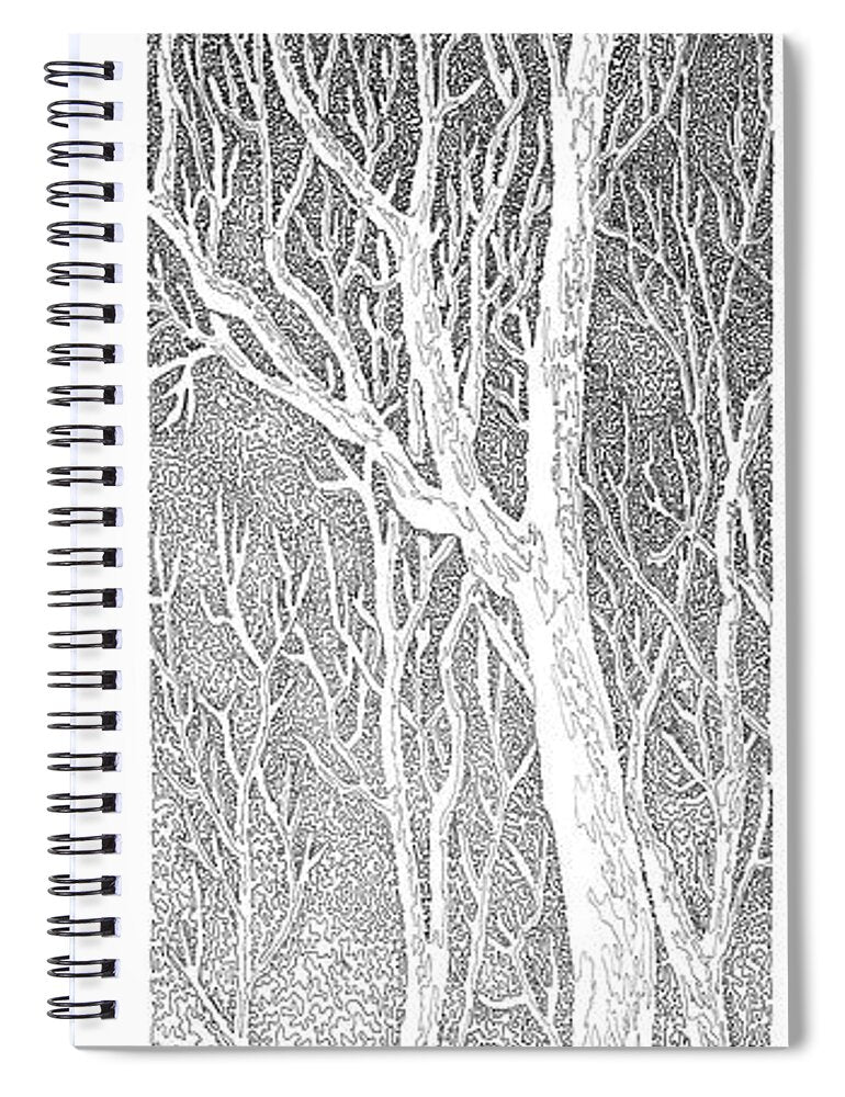 Forest for the Trees 3 - Spiral Notebook