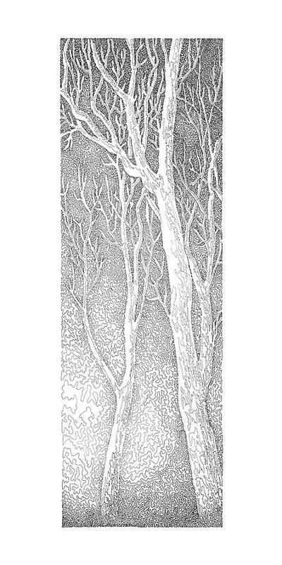 Forest For The Trees 3/5 - Art Print