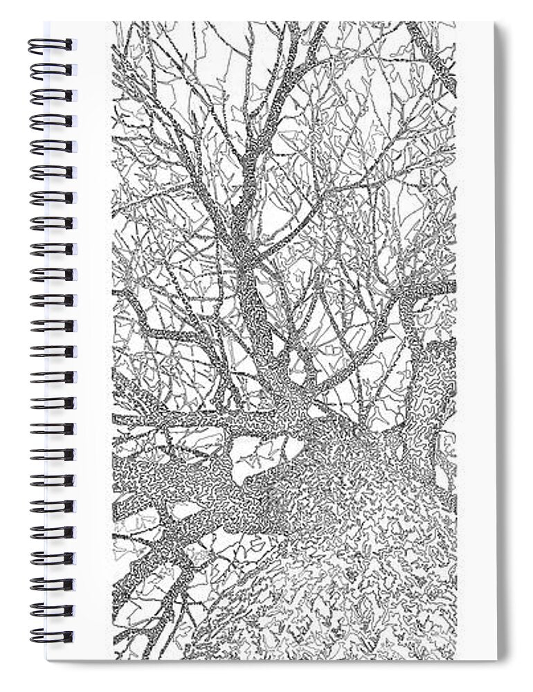 Forest for the Trees 4 - Spiral Notebook