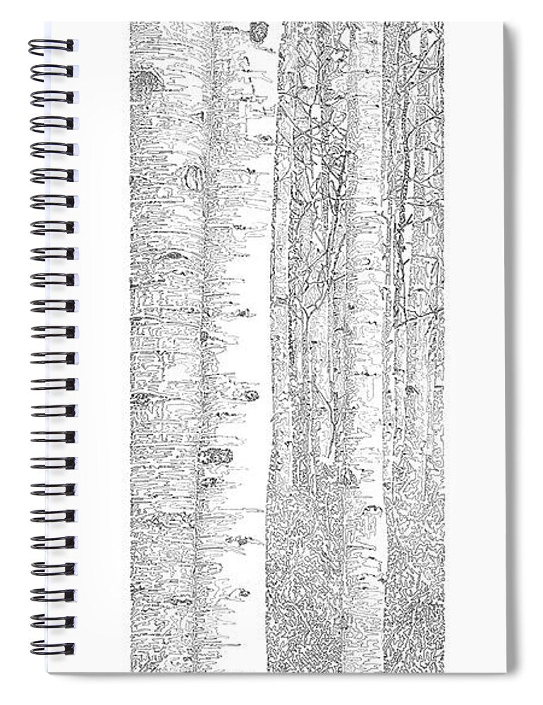 Forest for the Trees 5 - Spiral Notebook