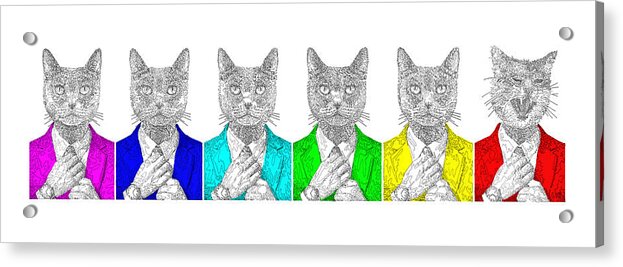 One Cool Cat - Acrylic Print
